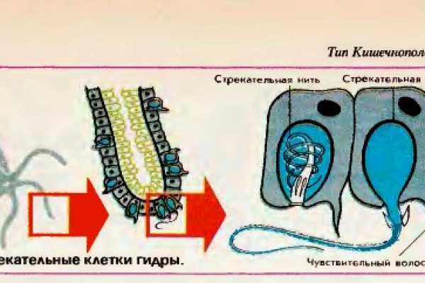 Почему не работает кракен сегодня