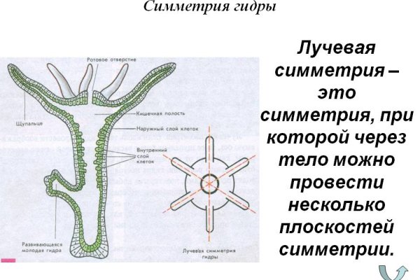 Как открыть ссылку с кракена